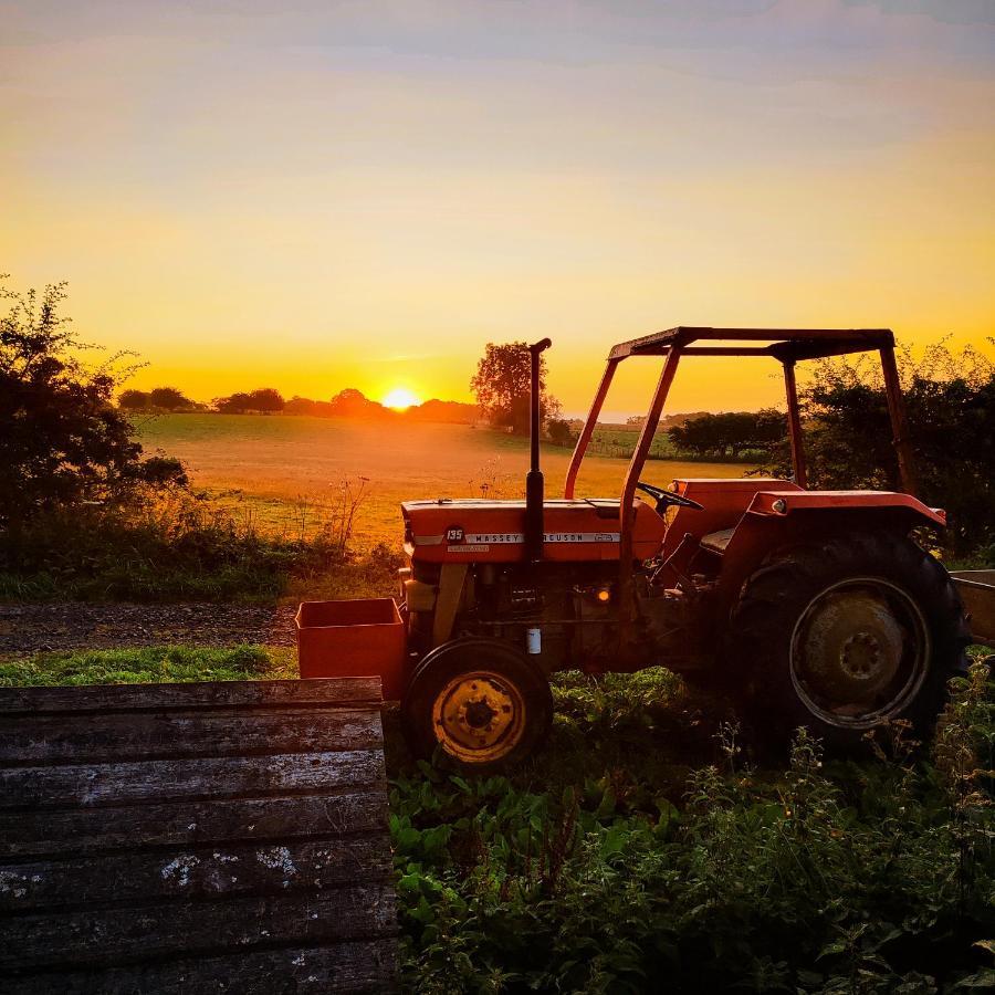 Millar Organics Farm Cottage Duns Esterno foto