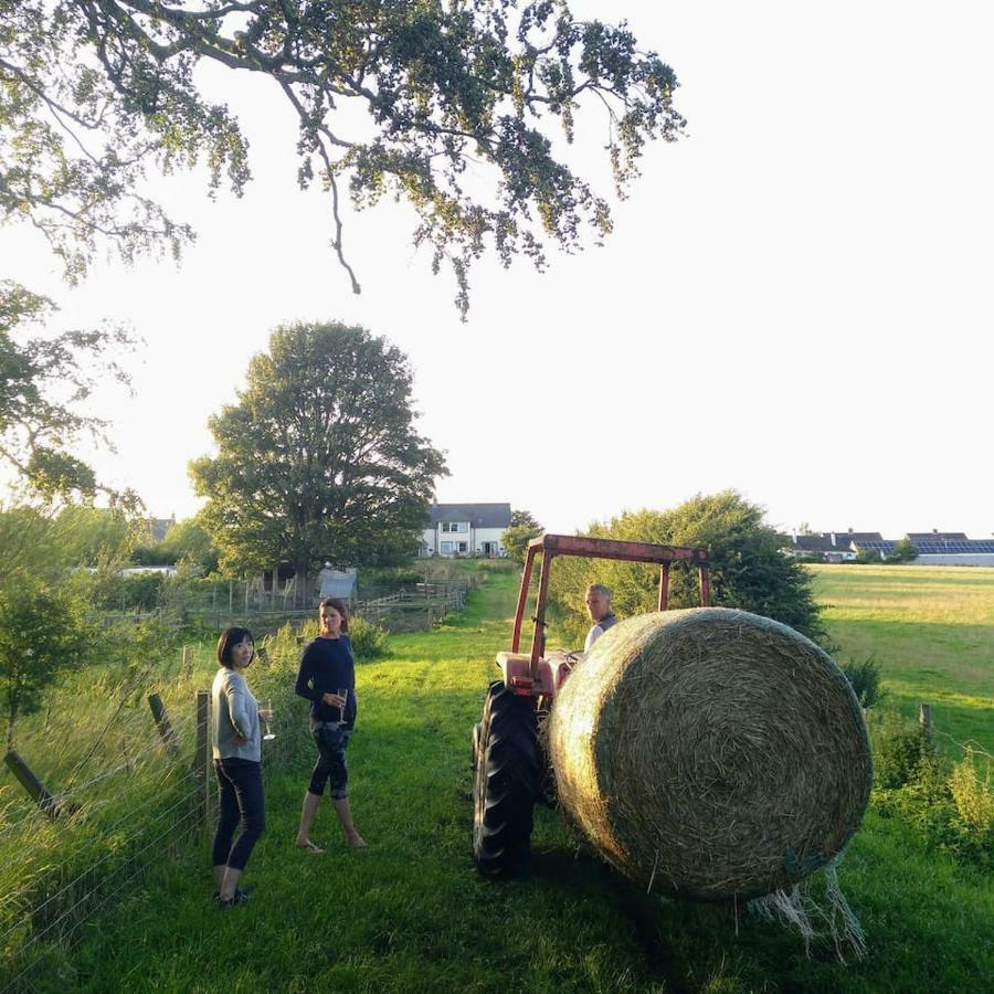 Millar Organics Farm Cottage Duns Esterno foto
